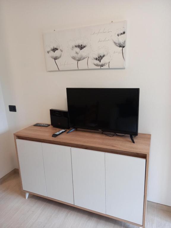TV a/nebo společenská místnost v ubytování Casa con vista a Moena