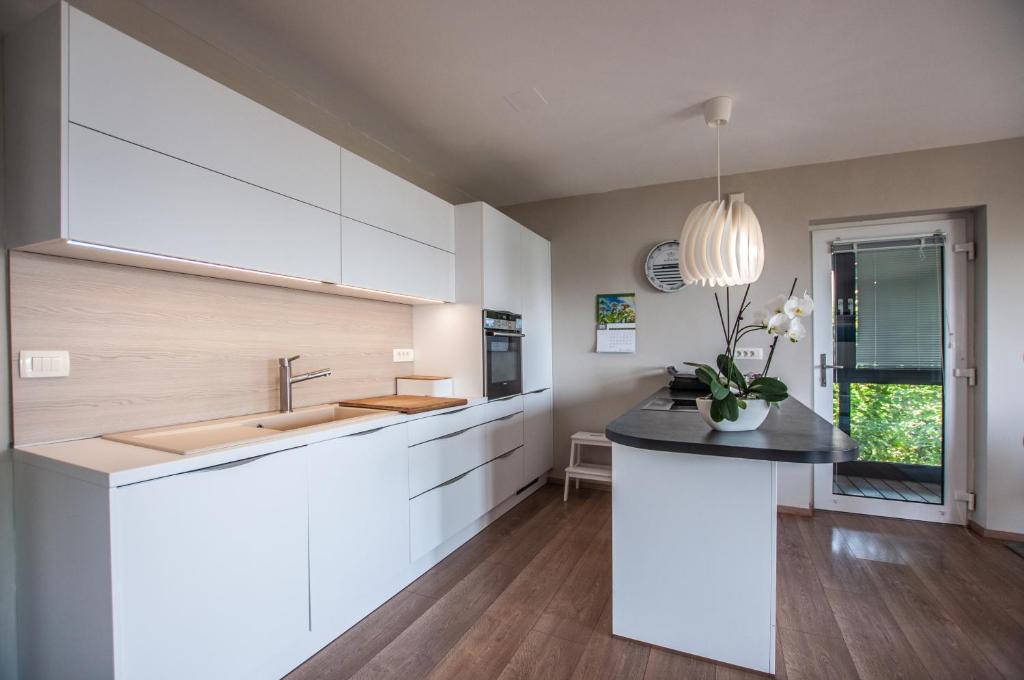 Kuchyň nebo kuchyňský kout v ubytování Sea View Apartments Debeli Rtič