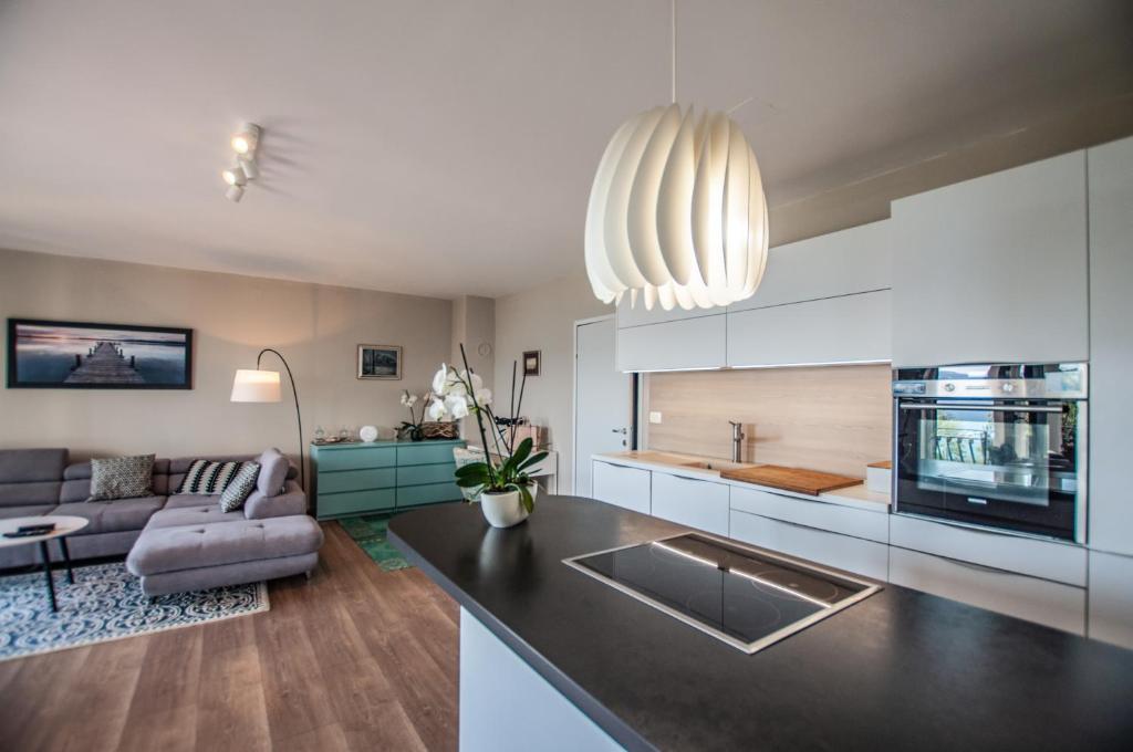 Kuchyň nebo kuchyňský kout v ubytování Sea View Apartments Debeli Rtič