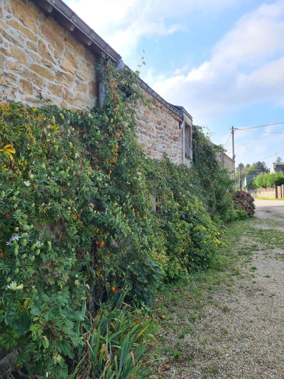 Zahrada ubytování Chambre Chagall - Closeries du Golfe