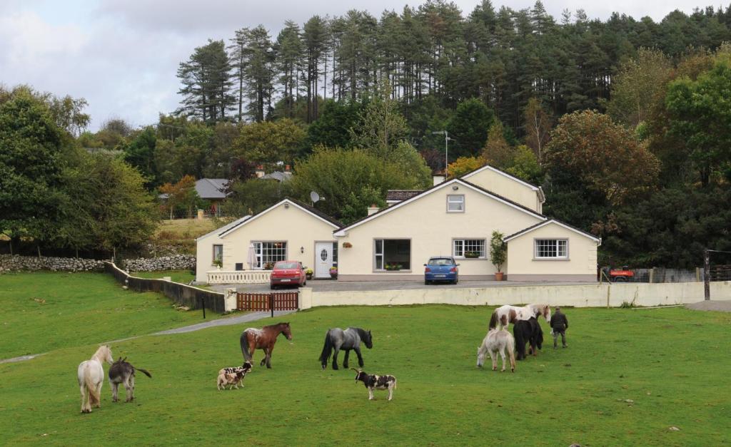 un gruppo di cavalli che pascolano in un prato di fronte a una casa di Muckross Riding Stables a Killarney