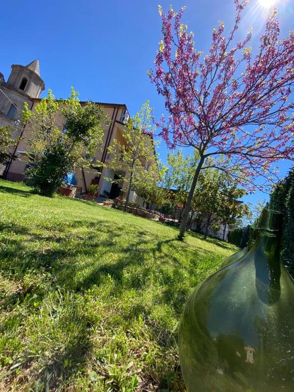 Ogród w obiekcie Casa Vacanze Primula palinuri