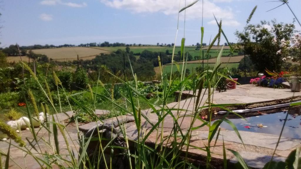 einen Garten mit einem Teich und Gras in der Unterkunft maison piscine privée proche de Rodez in Cassagnes-Bégonhès