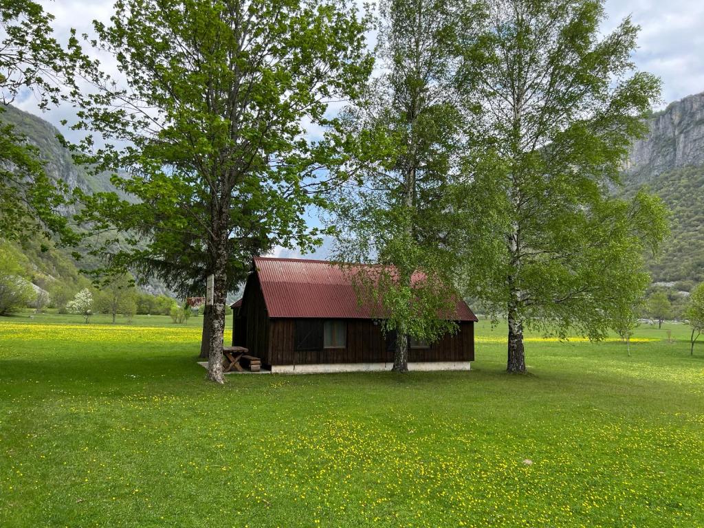 a small cabin in a field with trees at Mountain Cottage Komarnica in Šavnik