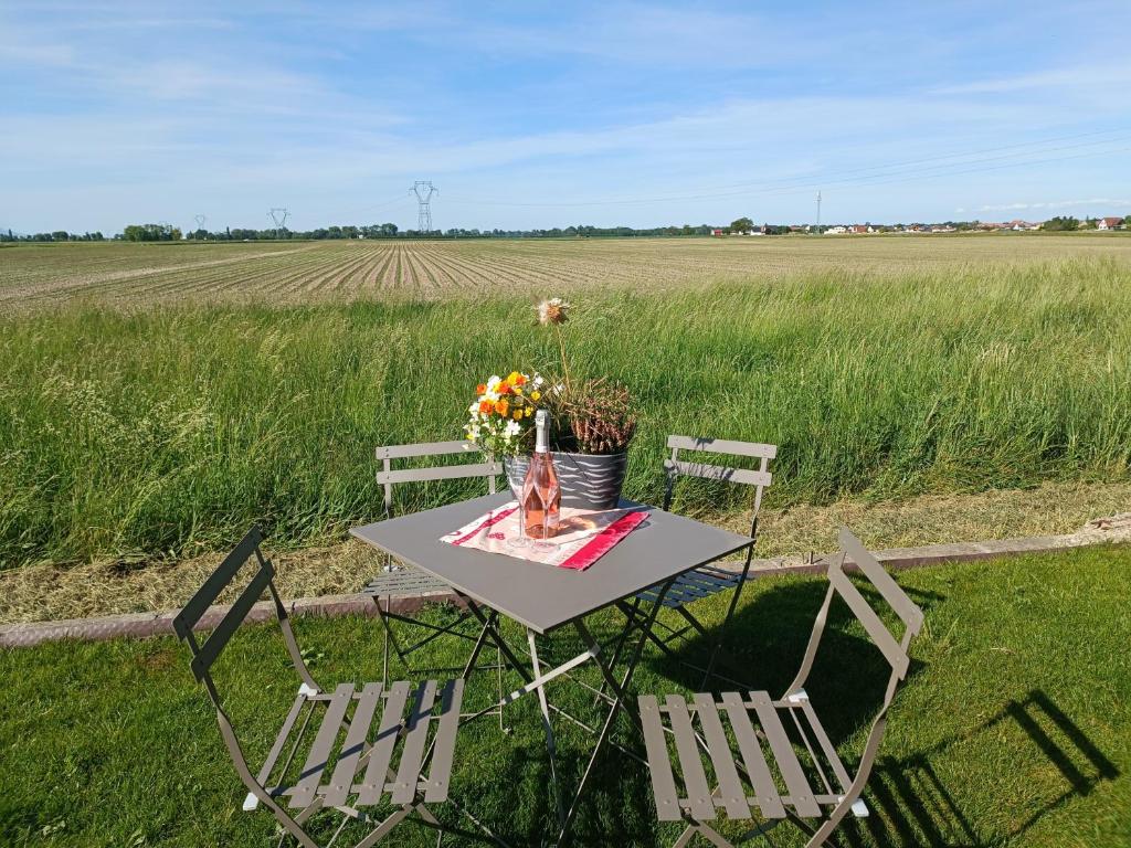 uma mesa com cadeiras e flores num campo em Le Studio D'Edouard em Urschenheim