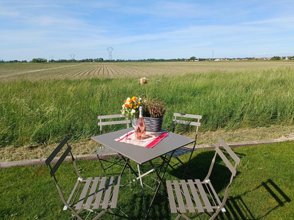 a table with chairs and flowers on a field at Le Studio D'Edouard in Urschenheim
