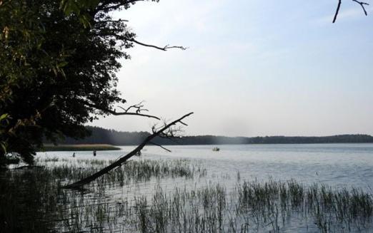 Fotografia z galérie ubytovania Noclegi u Pioruna v destinácii Ryn