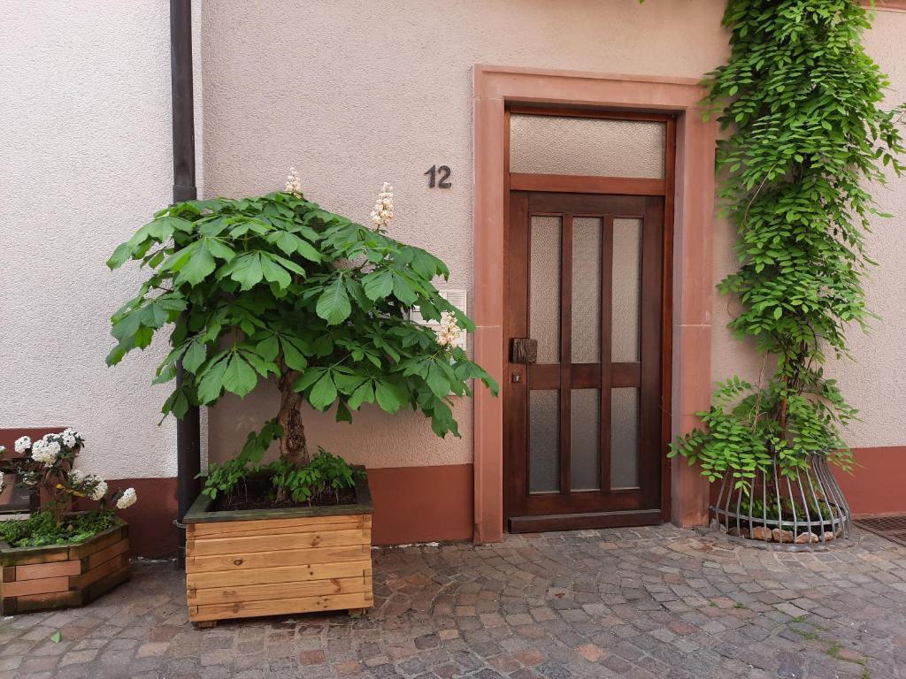 una puerta a un edificio con un árbol delante de él en Alte Bahnhofstraße 12 en Karlstadt
