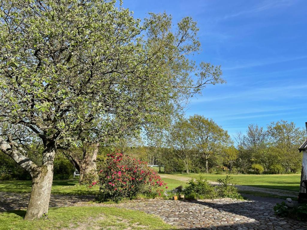Fotografie z fotogalerie ubytování Landlig idyl på Dommergården Bed and Coffee v destinaci Læsø