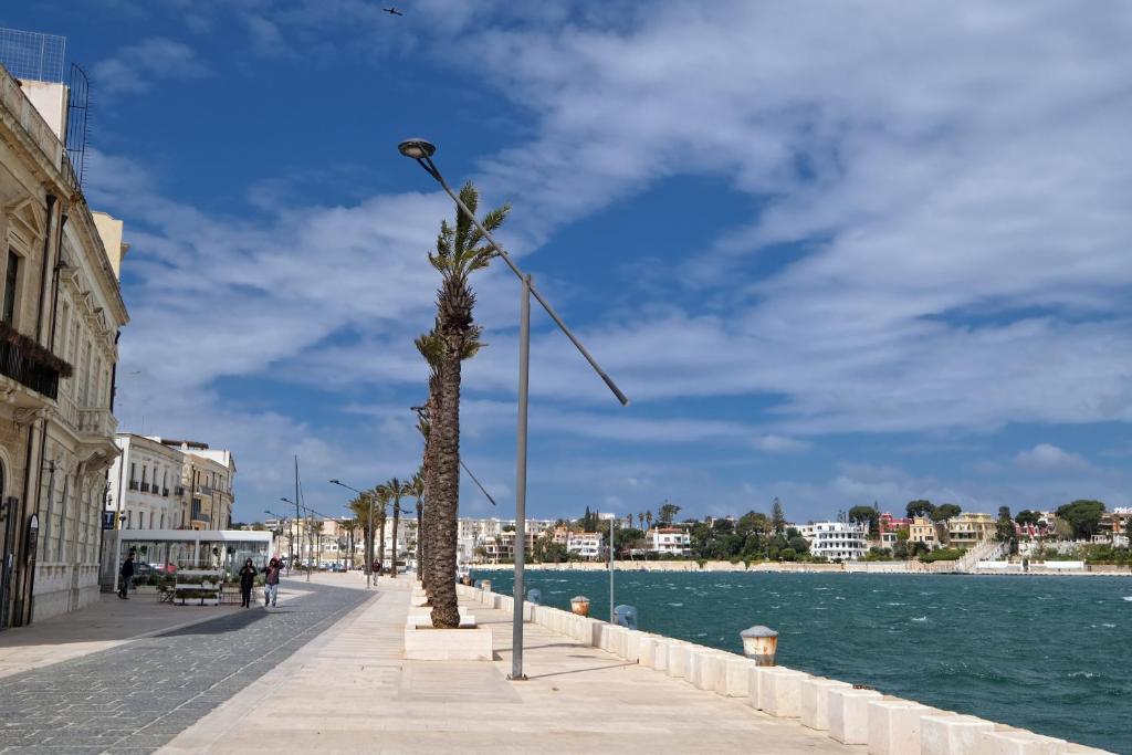 a palm tree on a sidewalk next to a body of water at Il Porto Affittacamere b&b in Brindisi