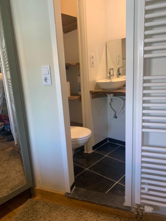 Koupelna v ubytování Toplocatie in centrum Sluis
