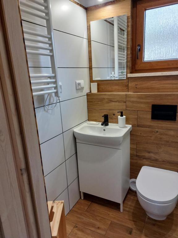 a small bathroom with a toilet and a sink at Domek letniskowy u Marcina i Ani in Borsk