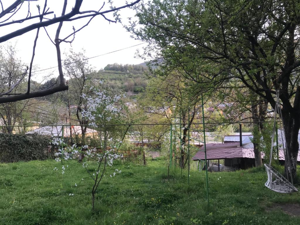 Příroda nedaleko apartmánu