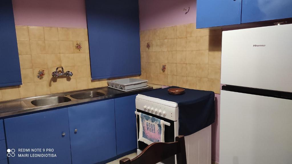 Kuchyň nebo kuchyňský kout v ubytování Porto Sabatiki