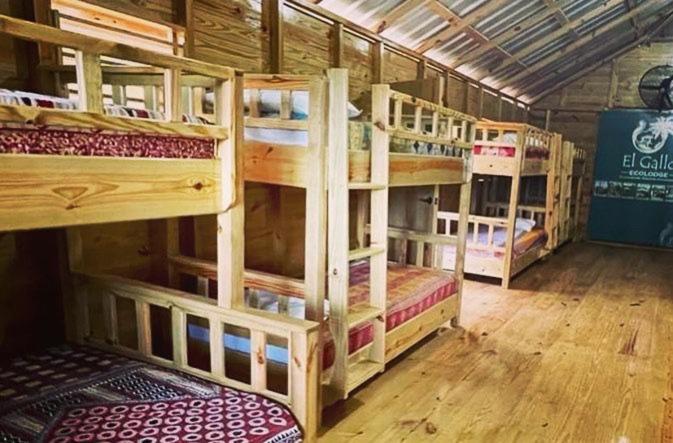 Palanda nebo palandy na pokoji v ubytování EL GALLO ECOLODGE