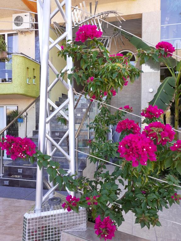 Zahrada ubytování Lilalo Ηotel