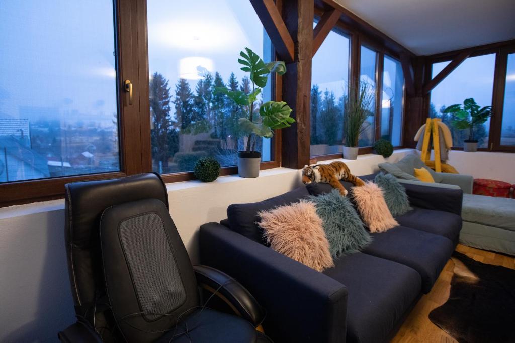 a living room with a blue couch with furry pillows at Maison de l'Amour in Brebu Nou