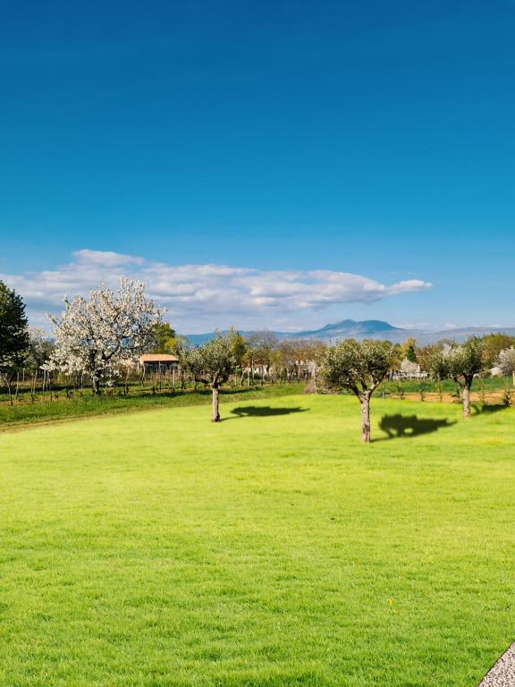 Fotografie z fotogalerie ubytování Villa Ruza, pet friendly villa with private pool and playground in Istria, Saturdays check in and out v destinaci Labin