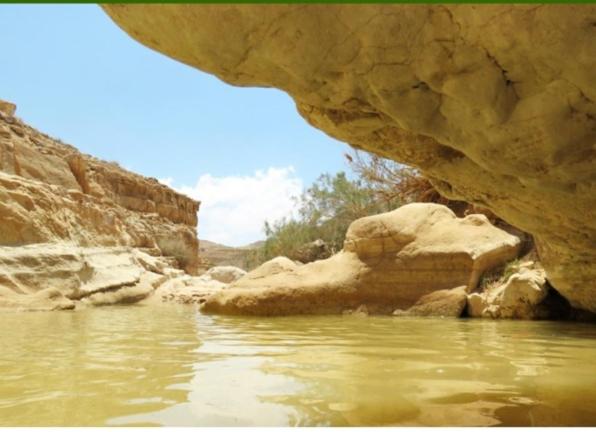 un cuerpo de agua junto a un acantilado rocoso en מדבריות השחר, en Dimona
