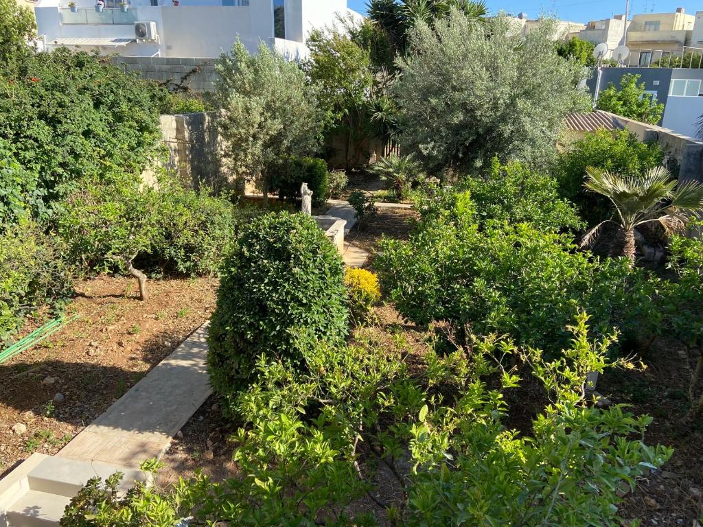 Zahrada ubytování Maltese Garden Villa