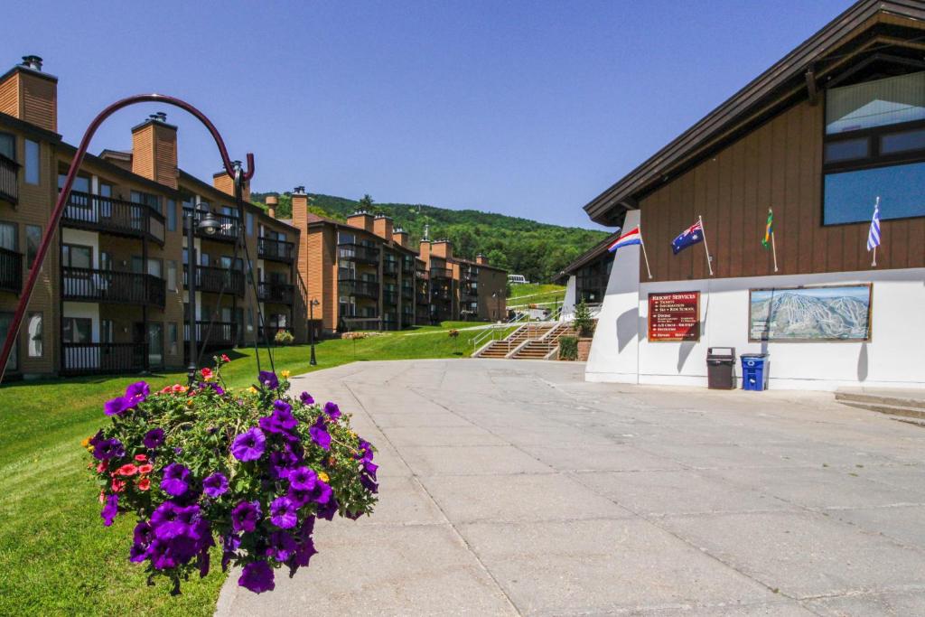 a bouquet of purple flowers in front of a building at Okemo Mountain Lodge B203 in Ludlow