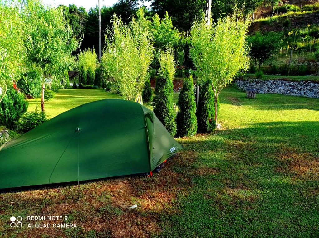 a green tent sitting in the grass next to trees at Taverna Gradetului in Schitu-Topolniţei