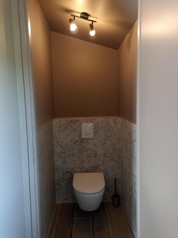 a bathroom with a toilet and a light on the ceiling at Sous Les Pins gîtes et chambres d'hôtes in La Londe-les-Maures