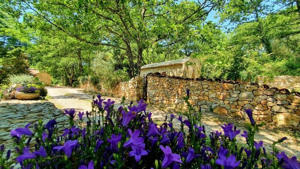 Zahrada ubytování Le Donjon des Combes et son Spa