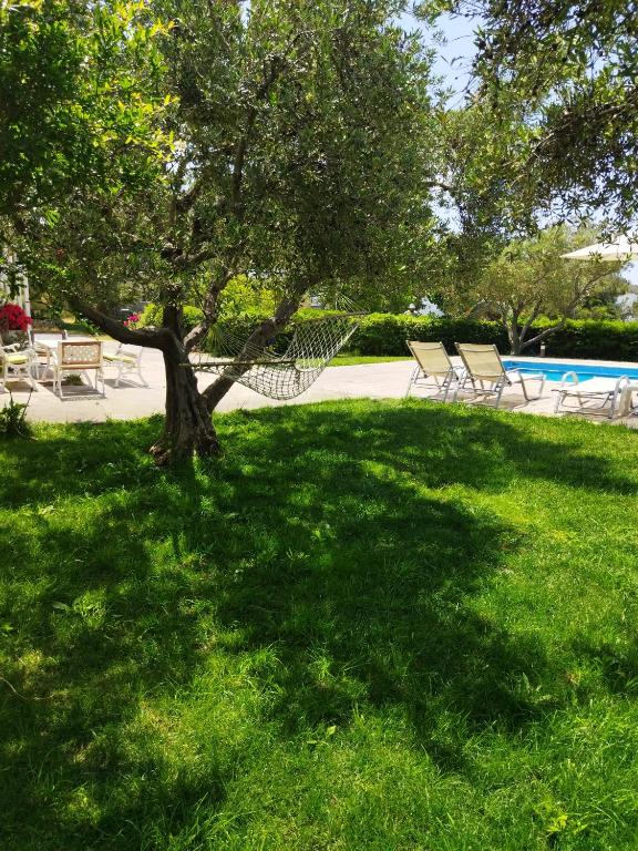 a hammock under a tree in the grass near a pool at Kassiani Studios in Plakias
