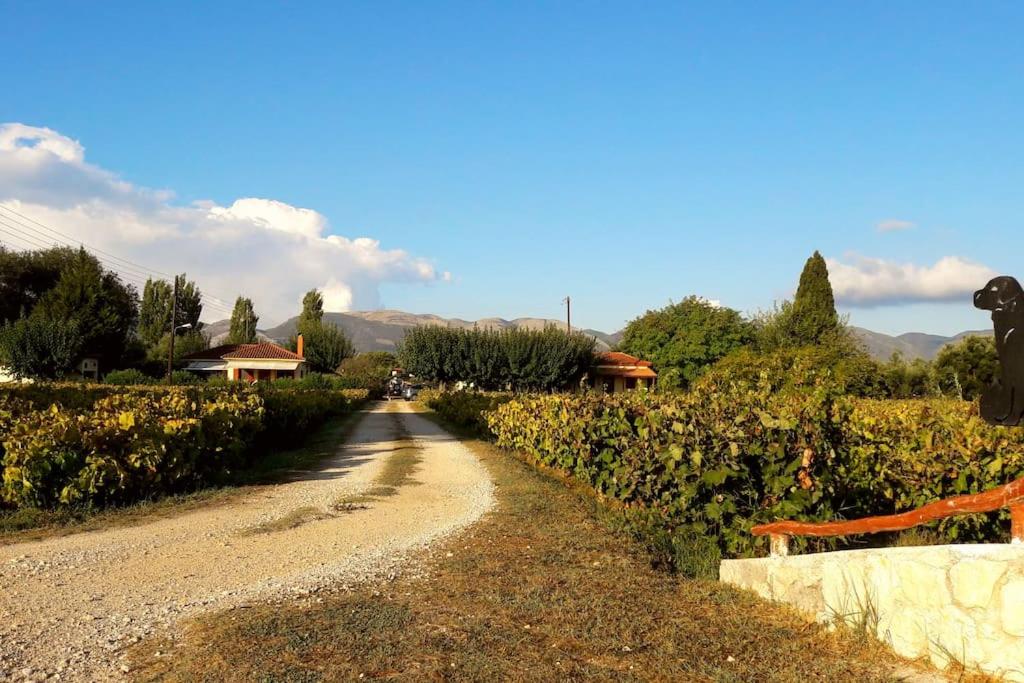 Ambelókipoi的住宿－Authentic Country House in Zakynthos，农作物田旁的土路