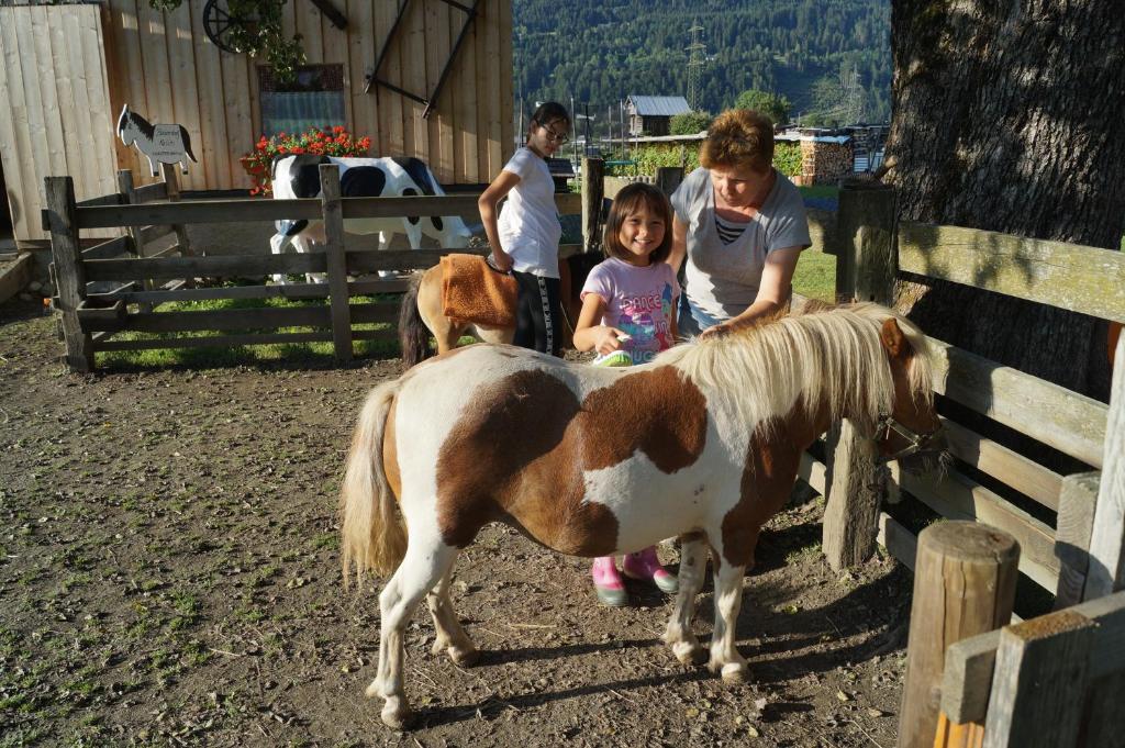 Una mujer y una niña mirando un poni en Bauernhof Katin, en Tröpolach