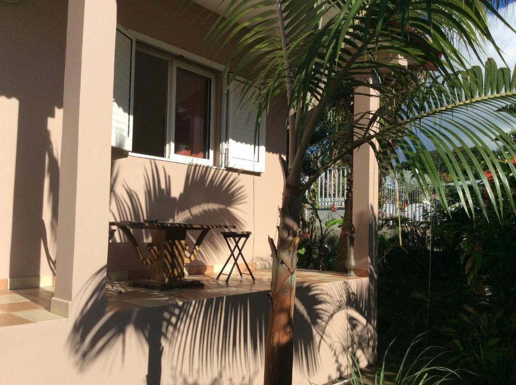 a palm tree in front of a house with a table at LA KAZ A DADA in Sainte-Suzanne