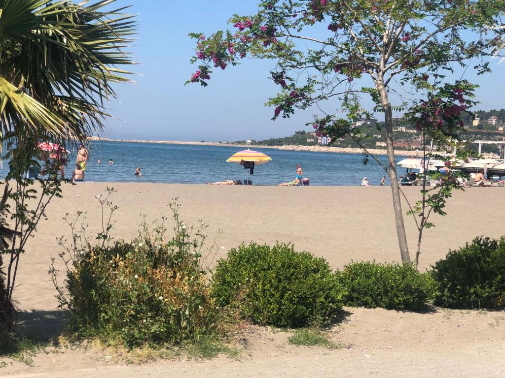 a beach with people in the water and an umbrella at Hotel MARIO, Shengjin in Shëngjin