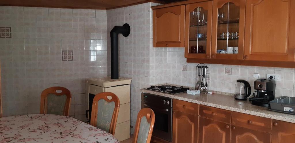 Kuchyň nebo kuchyňský kout v ubytování Apartment Zorc