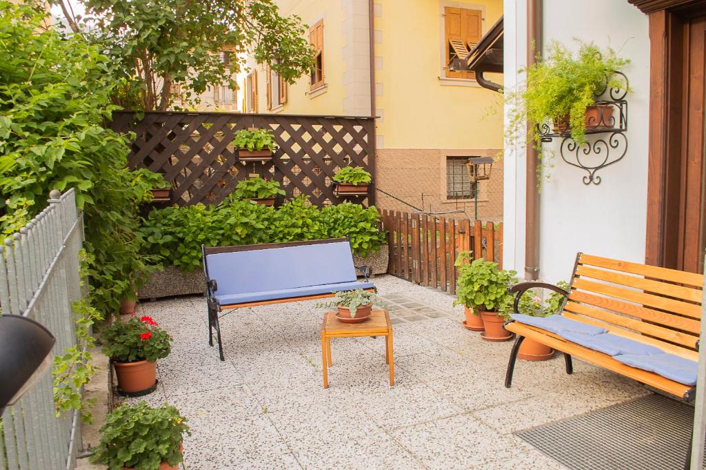 Zahrada ubytování Villa Lucin