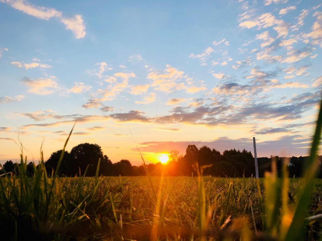 zachód słońca na polu z wysoką trawą w obiekcie Sunrise Retreat w mieście Bad Blumau