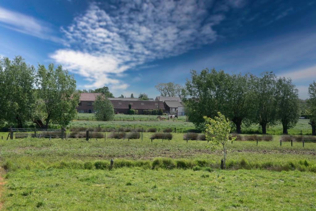 Zahrada ubytování casa tibella