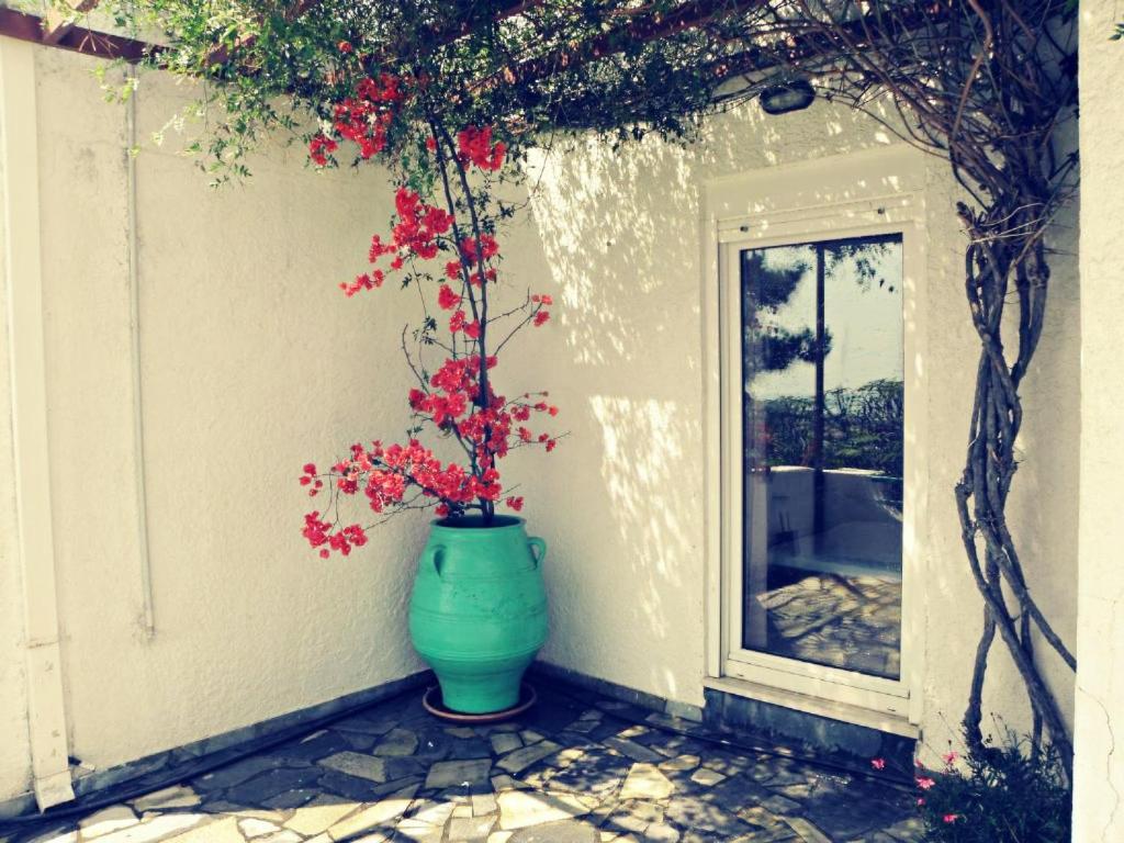 Zahrada ubytování Studios Crete