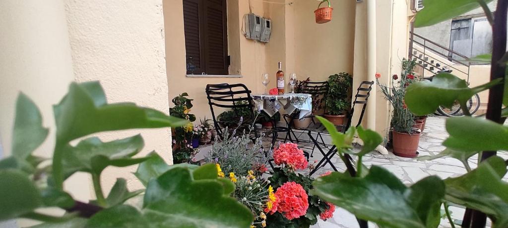 A garden outside Jimmy’s Studios
