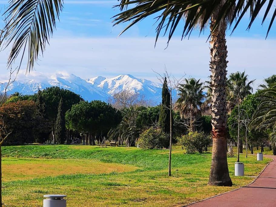 a palm tree in a park with mountains in the background at Appartement 63 m2, tout confort, climatisé. in Saint-Cyprien