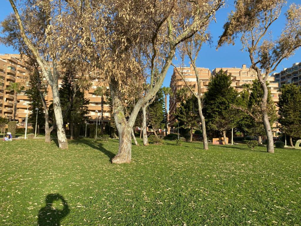 Zahrada ubytování Costa Marina III en primera línea de playa con fibra