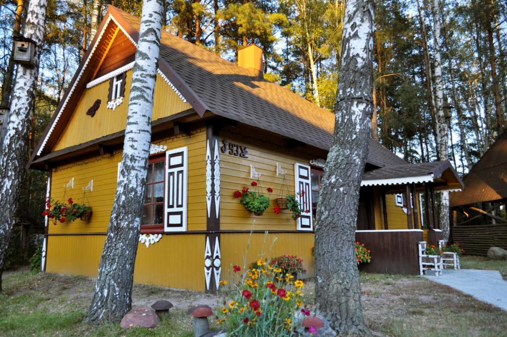 żółty domek w lesie z drzewami w obiekcie Agroturystyka Bora Zdrój w mieście Narewka