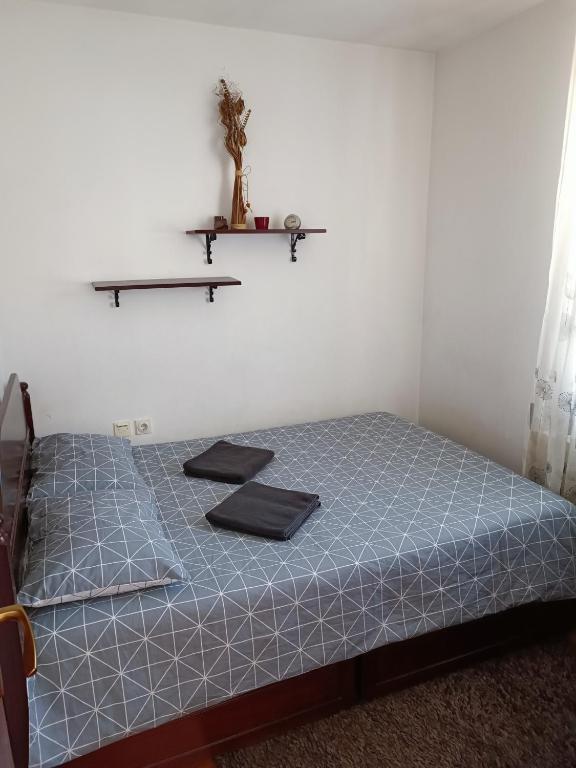 Postel nebo postele na pokoji v ubytování Serbian home with garden