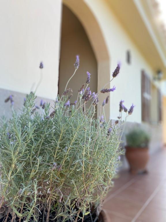 Casa con piscina muy cerca del mar, Sant Lluis – Ενημερωμένες ...