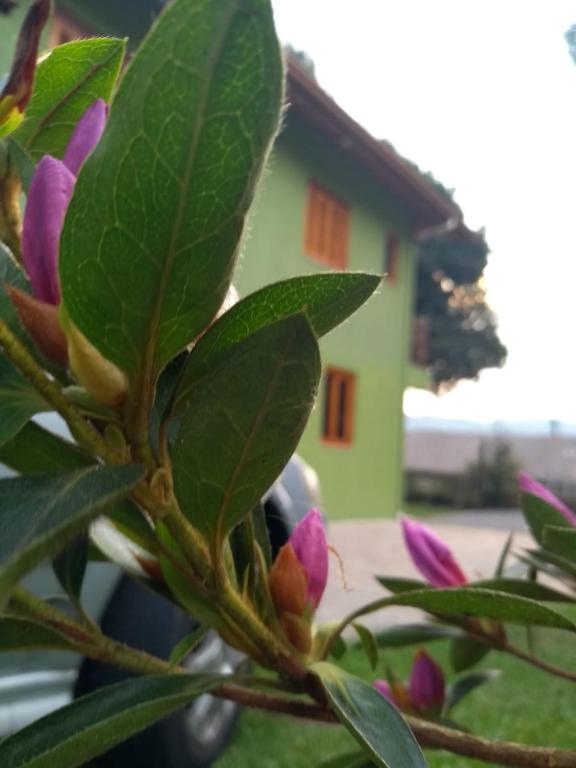 Zahrada ubytování Casa e Flat Conforto Gramado