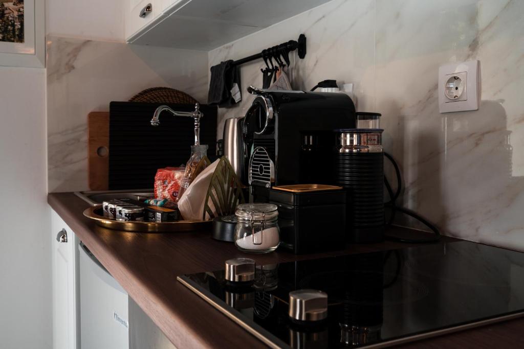 Kuchyň nebo kuchyňský kout v ubytování Rafalias Mansion