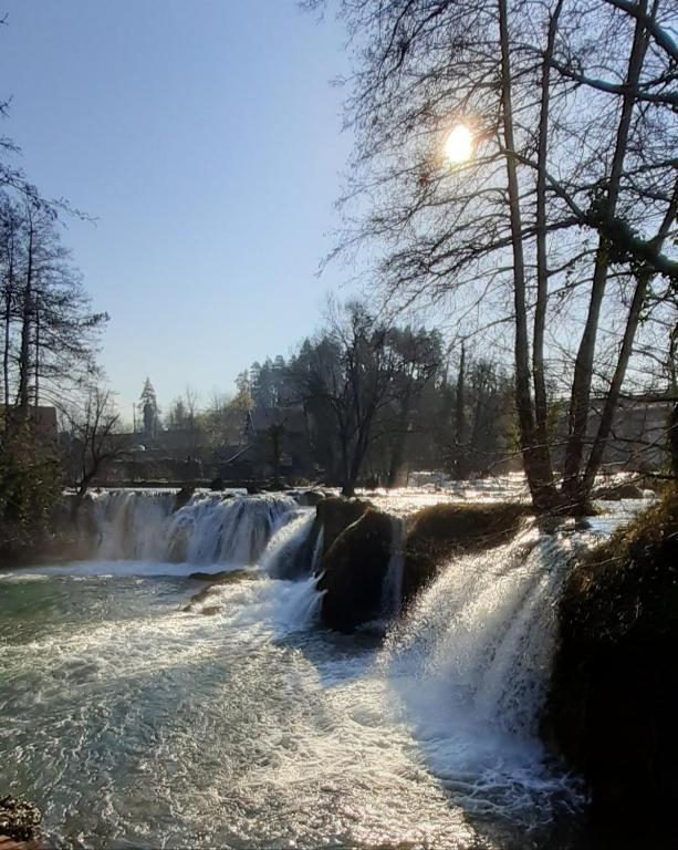 Guesthouse Pod rastockim krovom - 16