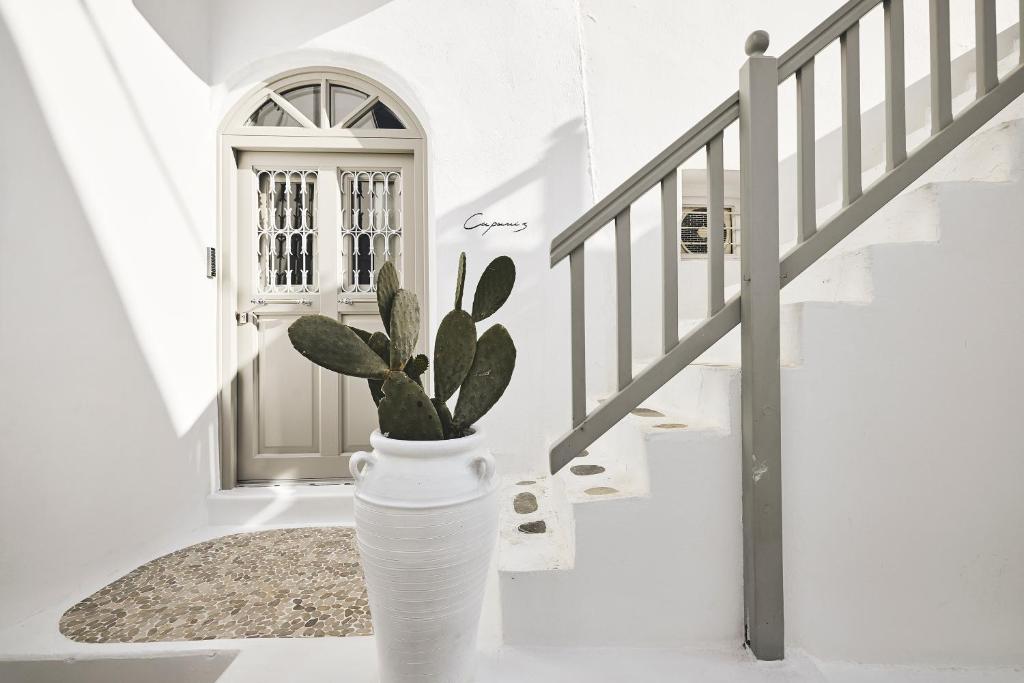 Fotografie z fotogalerie ubytování Elaia Luxury Suites Mykonos ve městě Mykonosu