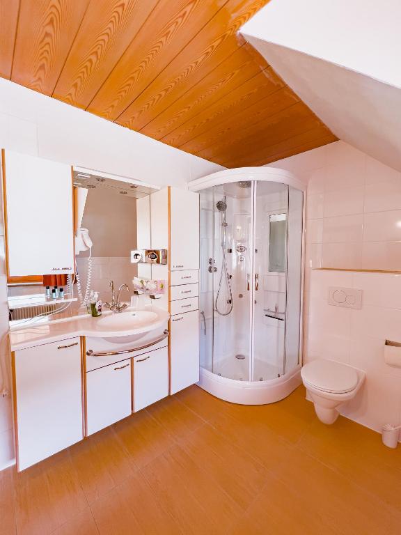 Sylpaulerhof Aparthotel - 8