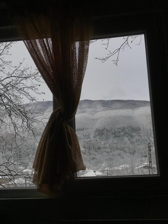 Příroda nedaleko apartmánu